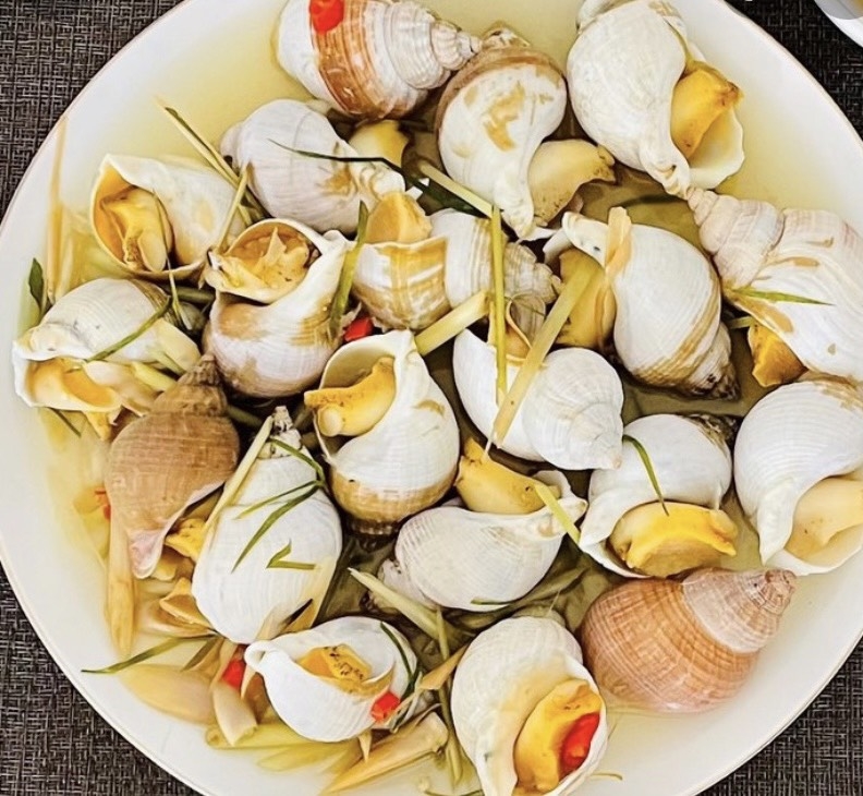 Ốc Bulot Nhập Khẩu – ANGIAFOOD | Hải Sản Cao Cấp Từ Châu Âu